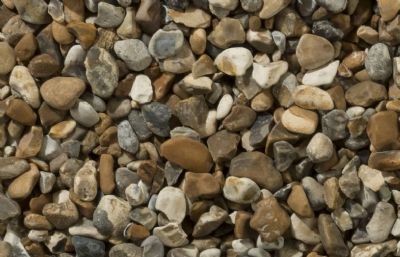 Oyster Pebbles  image